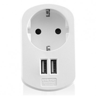 Presa Parete con 2 Porte USB Ewent EW1211 3,1 A