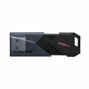 Memoria USB Kingston DTXON/256GB Nero 256 GB
