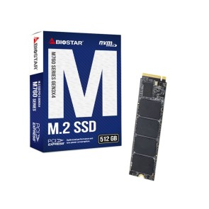 Hard Disk Biostar M760 512 GB SSD