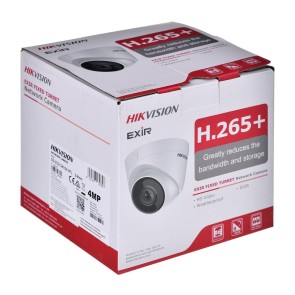 Videocamera di Sorveglianza Hikvision DS-2CD1341G0-I/PL