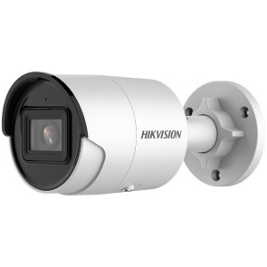 Videocamera di Sorveglianza Hikvision DS-2CD2043G2-I