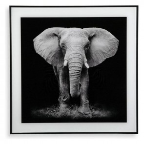 Quadro Elephant (2 x 50 x 50 cm)
