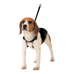 Imbracatura per Cani Gloria Pets 40-60 cm Taglia L