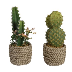 Pianta Decorativa EDM 808447 Cactus 28 cm