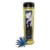 Olio per Massaggio Erotico Shunga Seduction Ylang Ylang (240 ml)