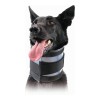 Collare Cervicale per Cani KVP Nero (9-36 cm)