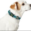 Collare per Cani Hunter Basic Filo Azzurro Taglia S Blue (30-43 cm)
