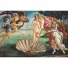 Puzzle Clementoni Museum - Botticelli: The Birth of Venus 2000 Pezzi