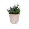 Pianta Decorativa Versa Ceramica Plastica Fusion Succulenta 7,8 X 14 X 7,8 CM