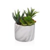 Pianta Decorativa Versa Ceramica Plastica Fusion Succulenta 9 x 15 x 9 cm