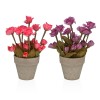 Pianta Decorativa Versa Ferro Tessile Plastica 11 x 27 cm