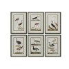 Quadro Home ESPRIT Uccelli Cottage 40 x 2,5 x 54 cm (6 Unità)