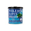 Deodorante per la Macchina Paradise Scents Mojito (100 gr)