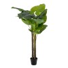 Pianta Decorativa 75 x 60 x 155 cm Verde Philodendro
