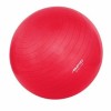 Gym Ball Avento 531SC42OB02 65 cm Rosa
