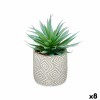 Pianta Decorativa Succulenta Legno Plastica 17 x 21 x 17 cm (8 Unità)