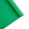 Rotolo di carta Kraft Fabrisa Verde 70 g/m² 50 x 1 m