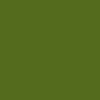 Cartoncini Iris 29,7 x 42 cm Verde militare (50 Unità)